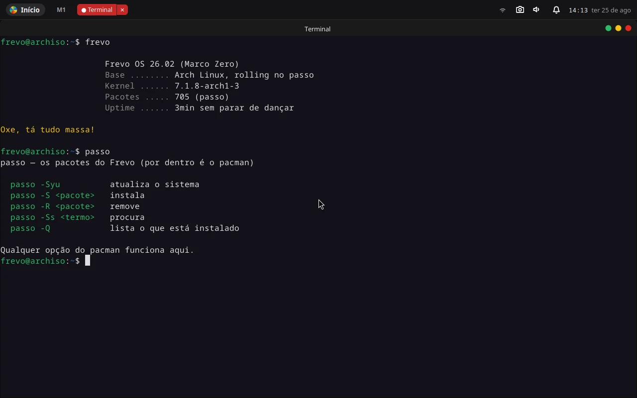 Terminal com o comando passo mostrando a ajuda: passo -Syu atualiza, -S instala, -R remove, -Ss procura, -Q lista.